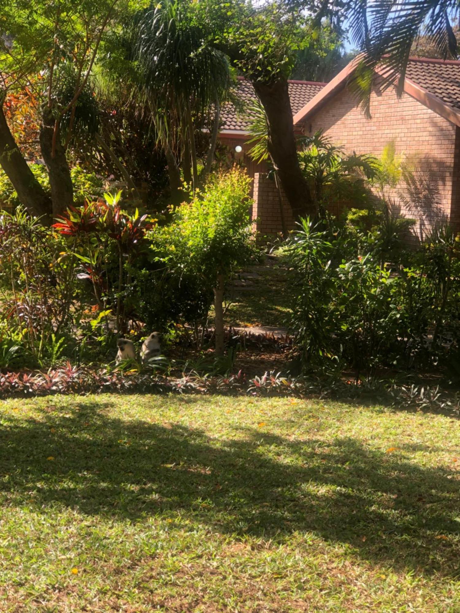El Seuno De Africa -The Dream Of Africa Villa St Lucia Luaran gambar