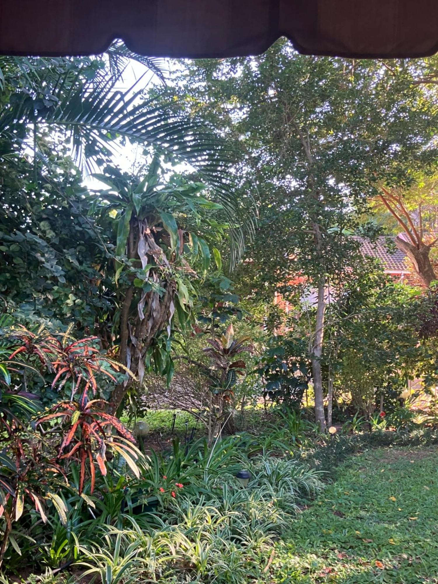 El Seuno De Africa -The Dream Of Africa Villa St Lucia Luaran gambar